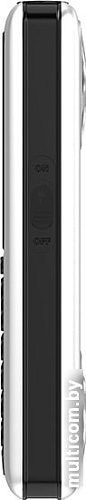 Мобильный телефон Maxvi P20 (серебристый)