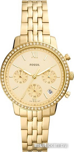 Наручные часы Fossil Neutra ES5219