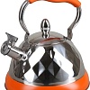 Чайник со свистком Pomi d'Oro PSS-650017