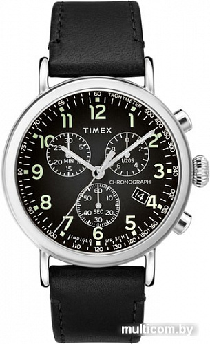 Наручные часы Timex TW2T21100