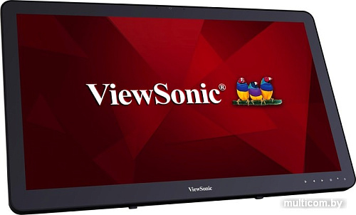 Монитор ViewSonic TD2430