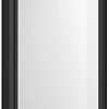 Душевая дверь Aquatek AQ ARI PI 10020BL 100x200 (черный/прозрачное стекло)