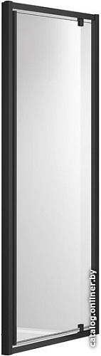 Душевая дверь Aquatek AQ ARI PI 10020BL 100x200 (черный/прозрачное стекло)
