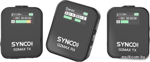 Радиосистема Synco G2(A2) Max