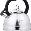 Чайник со свистком ZEIDAN Z-4230