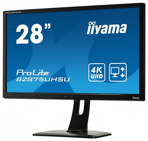 Монитор Iiyama Iiyama ProLite B2875UHSU-1