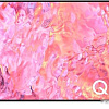 Телевизор Samsung QLED 4K Q63C QA65Q63CAKXXT