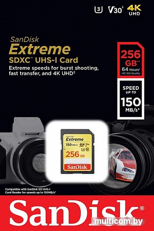 Карта памяти SanDisk Extreme SDXC SDSDXV5-256G-GNCIN 256GB