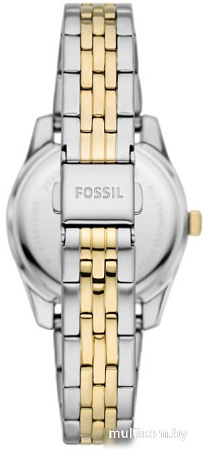 Наручные часы с украшением Fossil ES5313SET