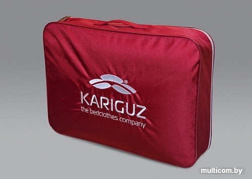 Спальная подушка Kariguz Тенселесон ТС10-5 (68x68 см)