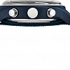 Наручные часы Timex TW2R67600