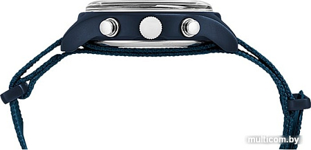 Наручные часы Timex TW2R67600