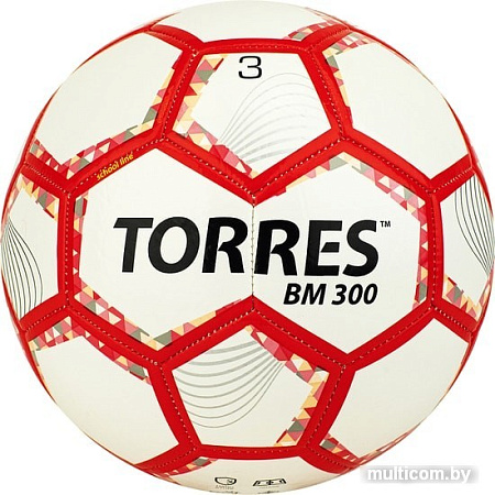Мяч Torres BM300 F320743 (3 размер)