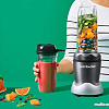 NutriBullet NB100DG Pro