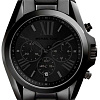 Наручные часы Michael Kors MK5550