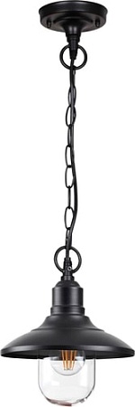 Уличный подвесной светильник Odeon Light Campa 4965/1