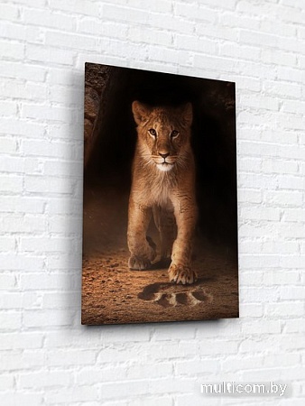 Картина на стекле ArtaBosko WB-06-122-04 (40x60)