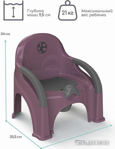 Детский горшок Amarobaby Baby chair AB221105BCh/22 (фиолетовый)