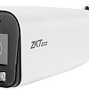 IP-камера ZKTeco BL-855P48D-S8-AD