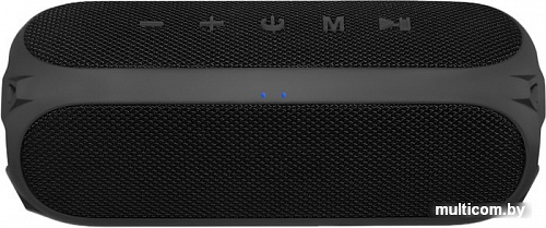 Беспроводная колонка Niceboy Raze 3 Radion
