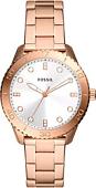 Наручные часы Fossil BQ3886
