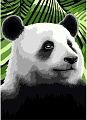 Картина по номерам Wizardi Панда MINI137