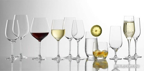 Набор бокалов для вина Stolzle Grand CuveeInVino 2100001-6