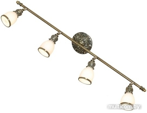 Спот Lussole Loft GRLSL-7309-04