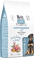 Сухой корм для собак Brit Dog Puppy&Junior Large Healthy Growth с индейкой и ягненком 3 кг