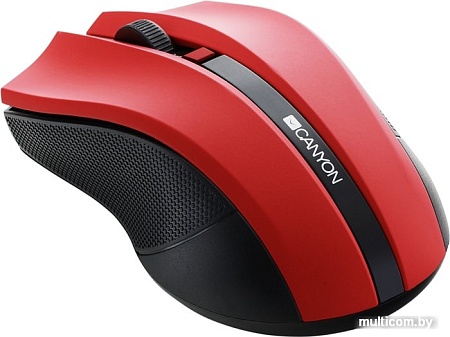 Мышь Canyon CNE-CMSW05R