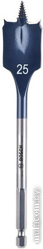 Набор оснастки Bosch 2608587010 (13 предметов)