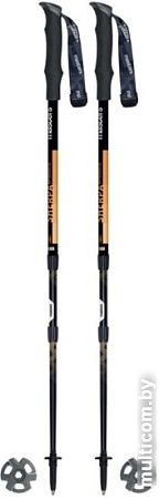 Треккинговые палки Masters Shepra Antishock CSS 01S2519