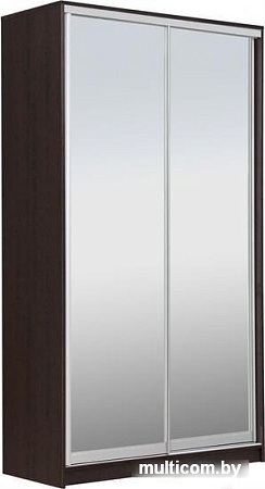 Шкаф распашной Рэйгрупп 120 VVX Elgon РГ-12.04 (венге/хром)