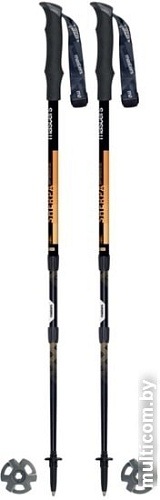 Треккинговые палки Masters Shepra Antishock CSS 01S2519