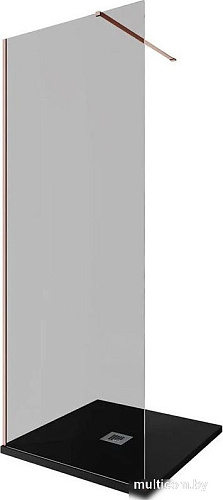 Душевая стенка Allen Brau Infinity 1 3.21030.60.T 323822 (медь браш)