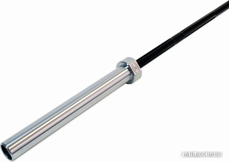 Гриф для штанги Rebel R-OCTB86