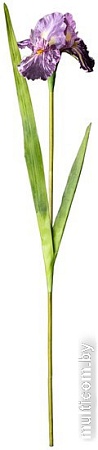 Искусственный цветок Lefard Ирис 287-501