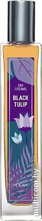 Brocard Black Tulip EdT (55 мл)