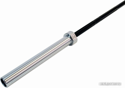 Гриф для штанги Rebel R-OCTB86