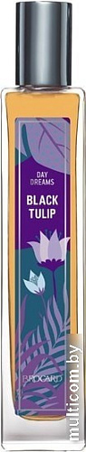 Brocard Black Tulip EdT (55 мл)