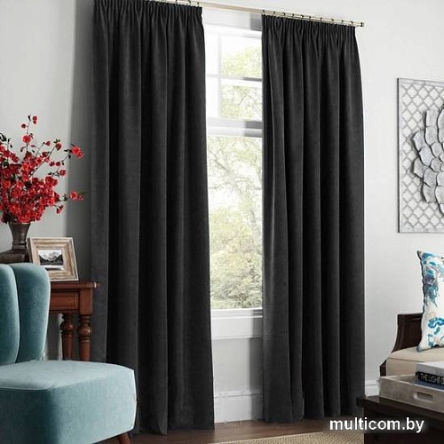 Комплект штор Pasionaria Софт 480x250 с подхватами (черный)