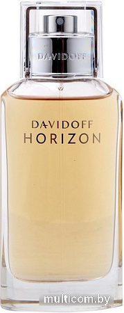 Davidoff Horizon EdT (75 мл)