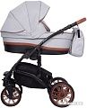 Универсальная коляска Riko Piano (3 в 1, 01 grey fox)