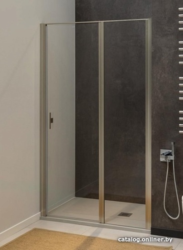 Душевая дверь Allen Brau Priority 3.31005.BA