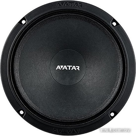 Среднечастотная АС Avatar MBR-61