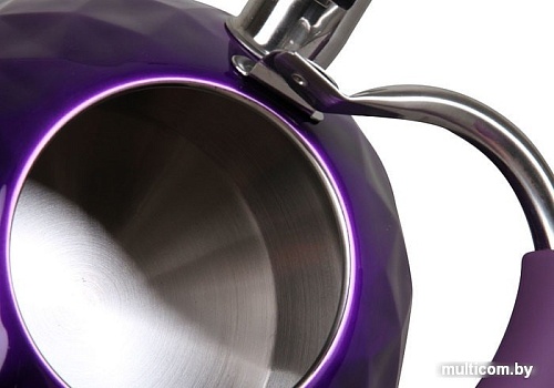 Чайник со свистком Pomi d'Oro PSS-650016