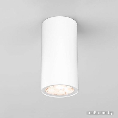 Уличный накладной светильник Elektrostandard Light 2102 35129/H (белый)