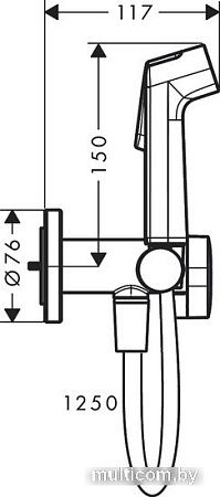 Гигиенический душ Hansgrohe Bidette 1jet S 29232000