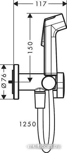 Гигиенический душ Hansgrohe Bidette 1jet S 29232000