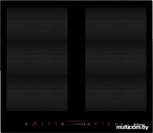 Варочная панель Hansa BHI69300